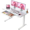 Glass Top Electric Standing Desk with Drawer, 48'' X 24'' Electric Height Adjustable Desk with USB Charging Ports, Sit Stand up for Home Office