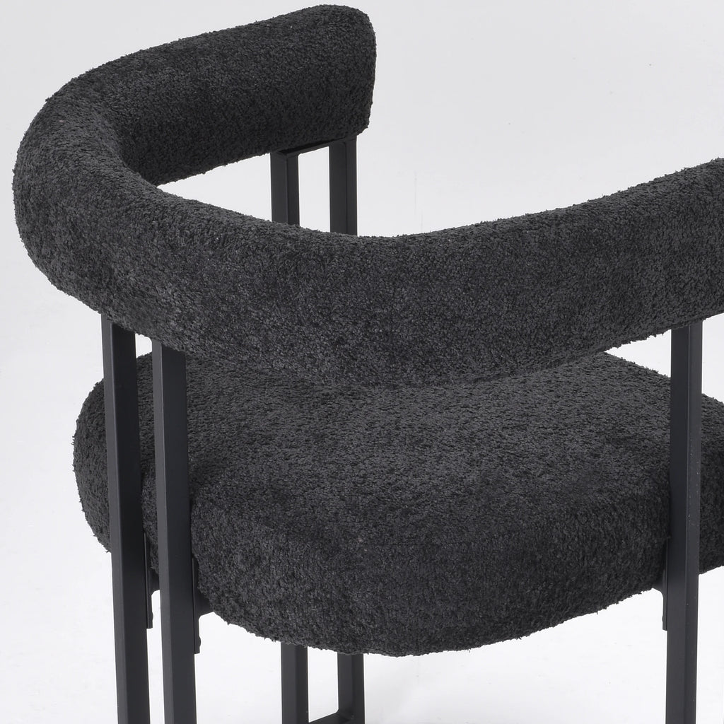 Upholstered Dining Arm Chairs Set of 2, Modern Cushioned Accent Chairs with Metal Frame